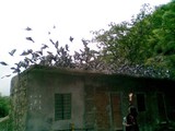 by Mohit Goswami