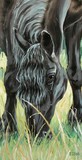 by Erlinde Ufkes Stephanus