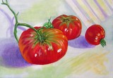 by Linda Scott Fulton