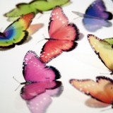 by Clear Cut Crafts
