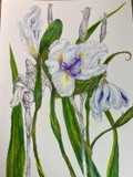 by jennifer kirton