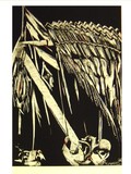 by ANTÓNIO AGANTE