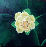 by Elizabeth Mitchell
