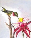 by Dorcas Otis