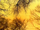 by rasa 