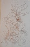 by Anna  Girgis