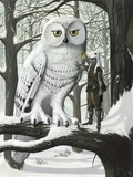 by Santiago Iborra