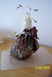 by Sheila Longden