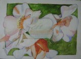 by artistinthecountry  