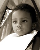 by Stephanie Meldgaard