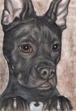 by Brandy Gentile
