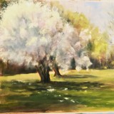 by Joan  Wulff