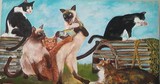 by emma mcdevitt