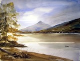 by Steven Cronin