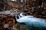 by Justin Shrum