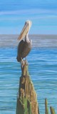 by Carol Thompson