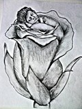 by Kalai S