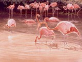 by francis kwok peng kin