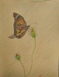 by Joanie Holliday