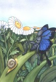 by Vassilena Kenarev-Nikiforov