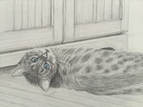 by Stacey Makar