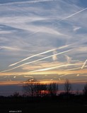 by Ad Schaap