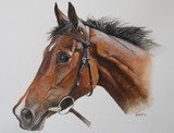 by Julie Crawley