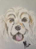 by Diane Langmade