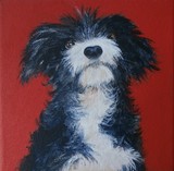 by C. Lynn Glander