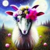 by Elizabeth Mix
