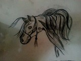 by Fatima  Sakhawat 