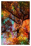 by Wendy Allen