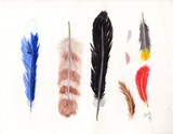 by Amy Roberts