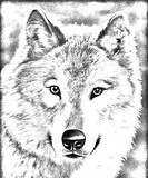 by Ginger Hayslip