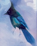 by Tracy Herrmann