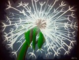 by Janie Pini