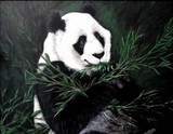 by Marlene Barrett