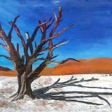by Muhammad Awab Nouman
