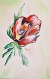 by Angel Hatton