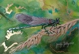 by Jennifer Herlihy