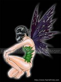 by Nedda Shishegar