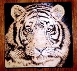 by Gayle Taylor
