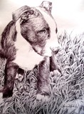 by Maria Madrid