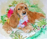 by Yvonne Carter