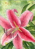 by Brenda Mousseau
