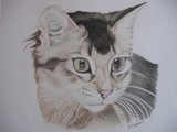 by Ruth Tyson
