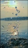 by cervantes wu