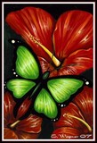 by Elaina Wagner