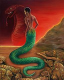 by Carol Phillips