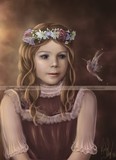 by Rachael Tallamy
